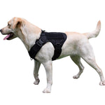 Gilet tactique pour Chien